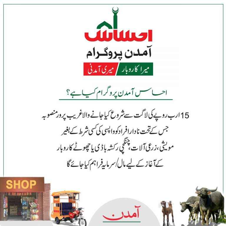 What-is-Ehsaas-Amdan-Program