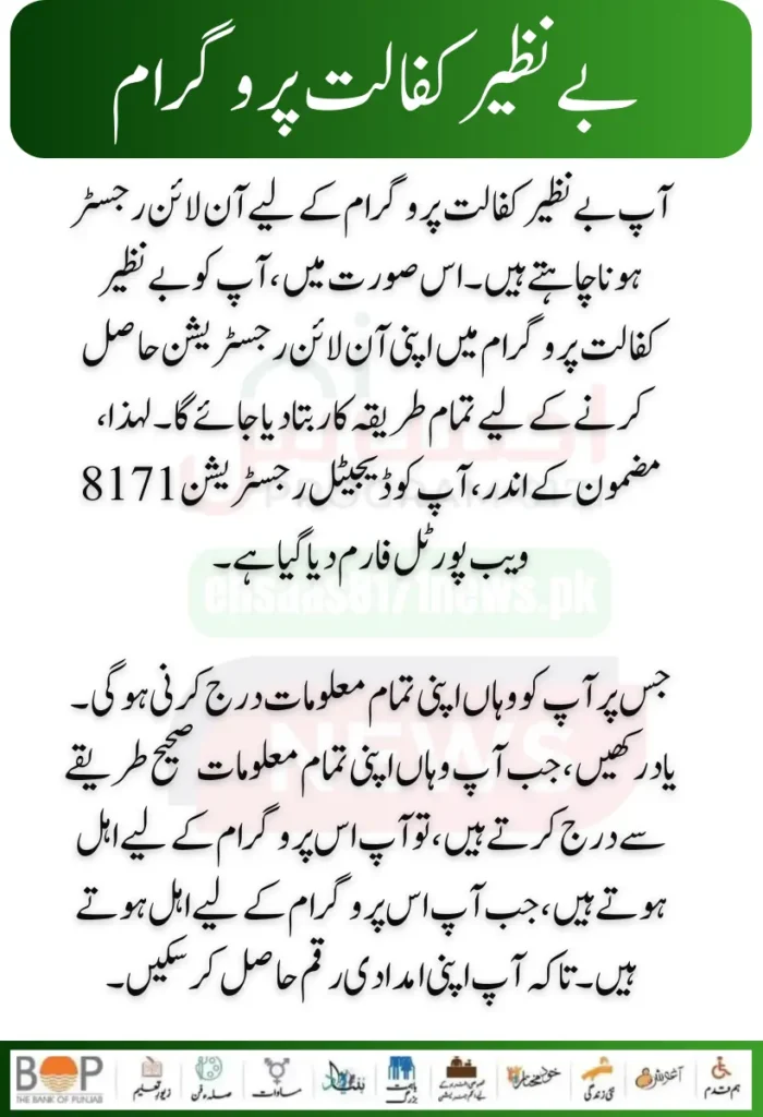 Punjab Government Launches Solar Panels Project for 50000 Eligible Families 32