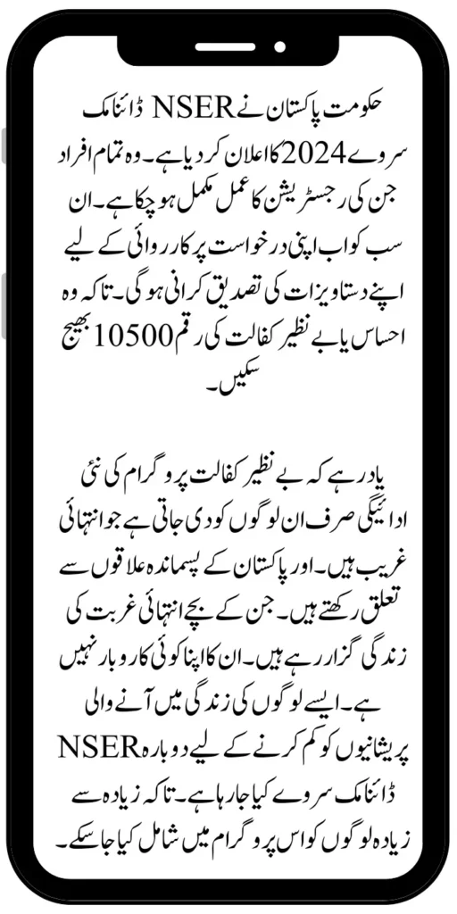 NSER Dynamic Survey 2024