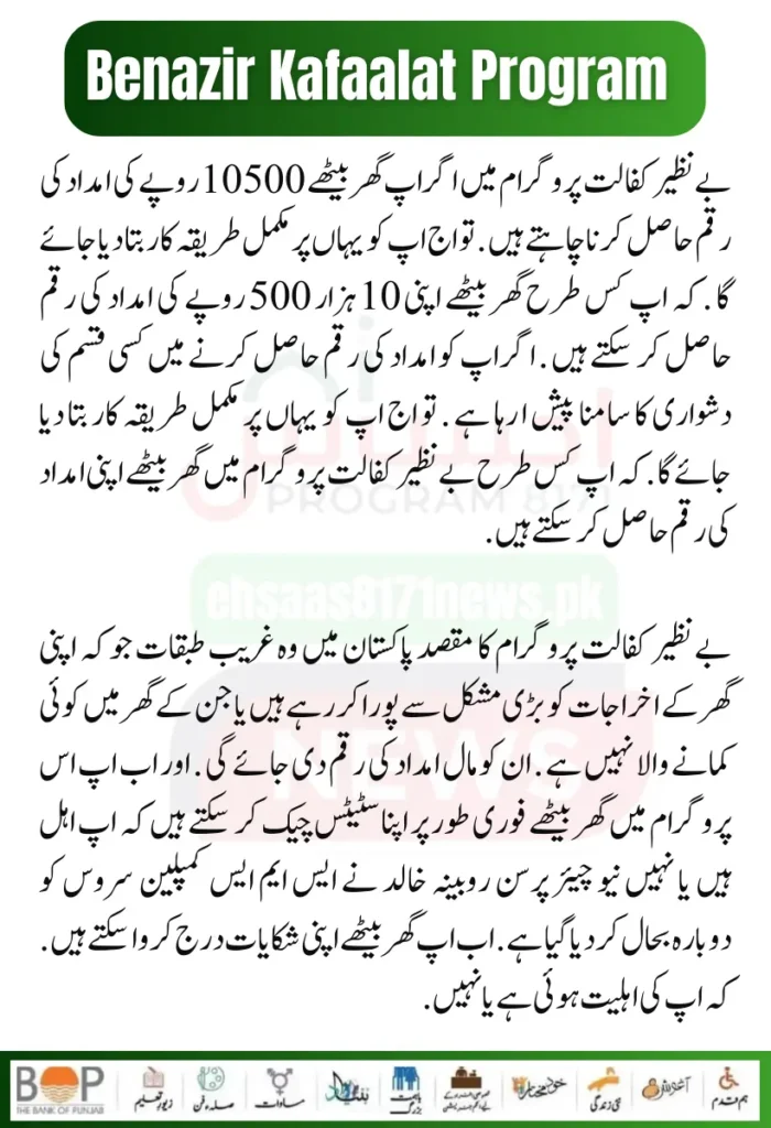 Punjab Government Launches Solar Panels Project for 50000 Eligible Families 3