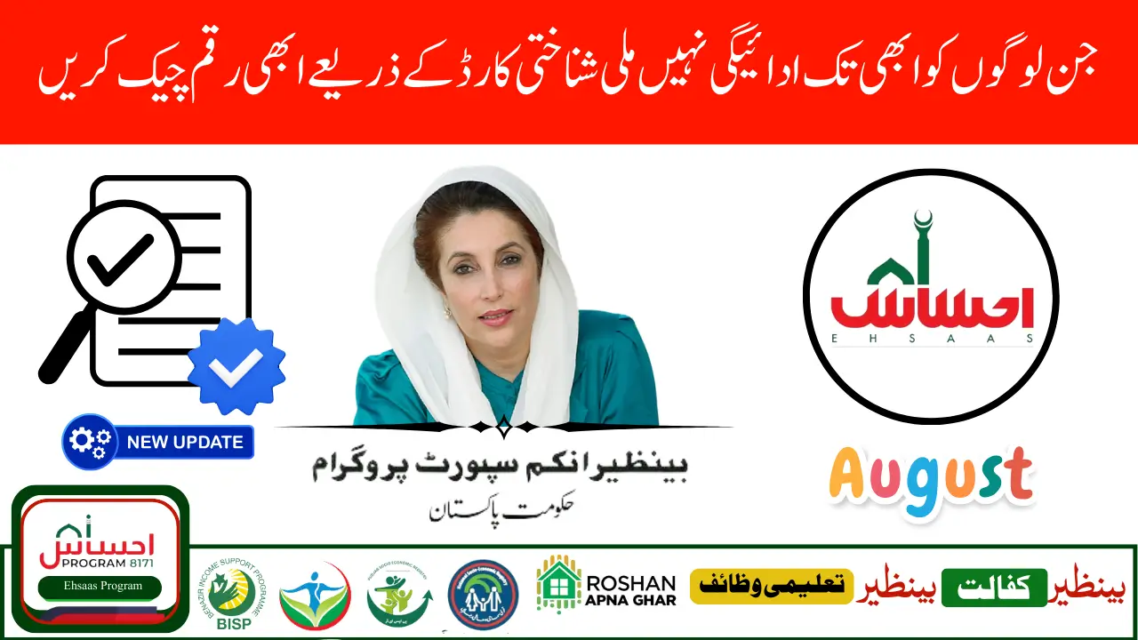 8171 Ehsaas Program Check CNIC Online Web Portal Guide