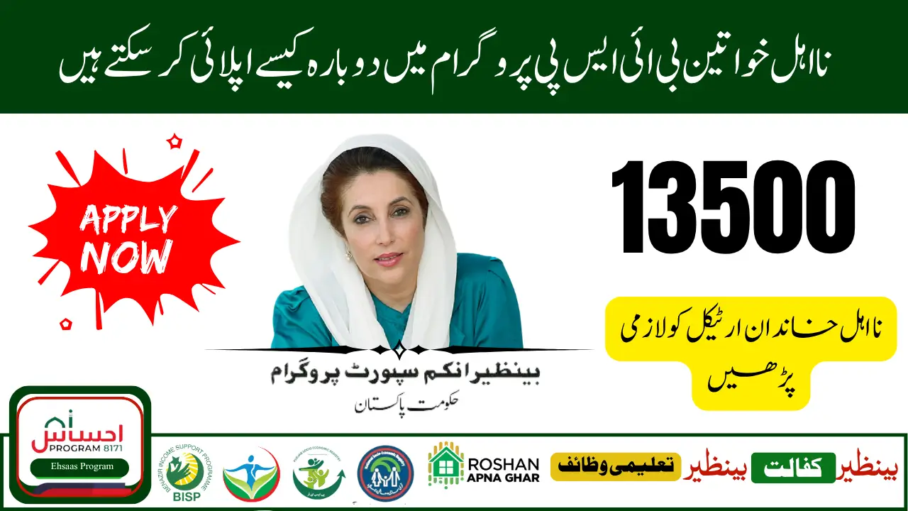 BISP Ineligible Families 2025